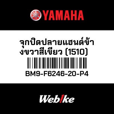 【YAMAHA Thailand 原廠零件】把手端子【END BM9-F6246-20-P4】