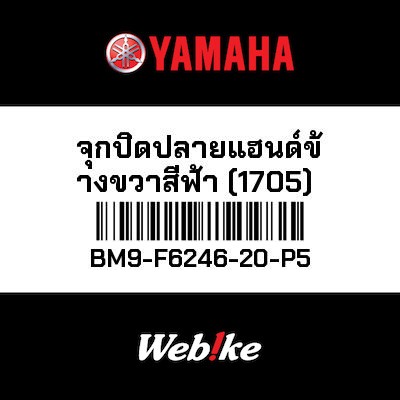 【YAMAHA Thailand 原廠零件】把手端子【END BM9-F6246-20-P5】